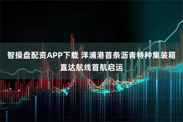 智操盘配资APP下载 洋浦港首条沥青特种集装箱直达航线首航启运