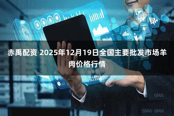 赤禹配资 2025年12月19日全国主要批发市场羊肉价格行情